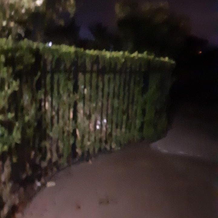 1st image of 2009 Windward Dr