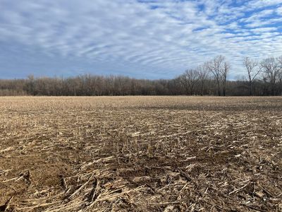 Xxx Jackpine Road, Carthage, MO, 64836