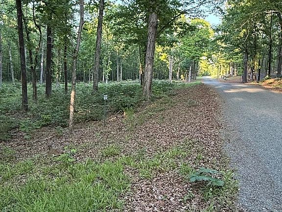 5th image of 0 Robinson Rd