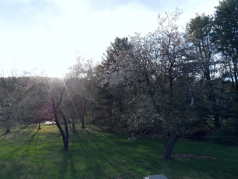 4 Crestview Dr — Photo 21