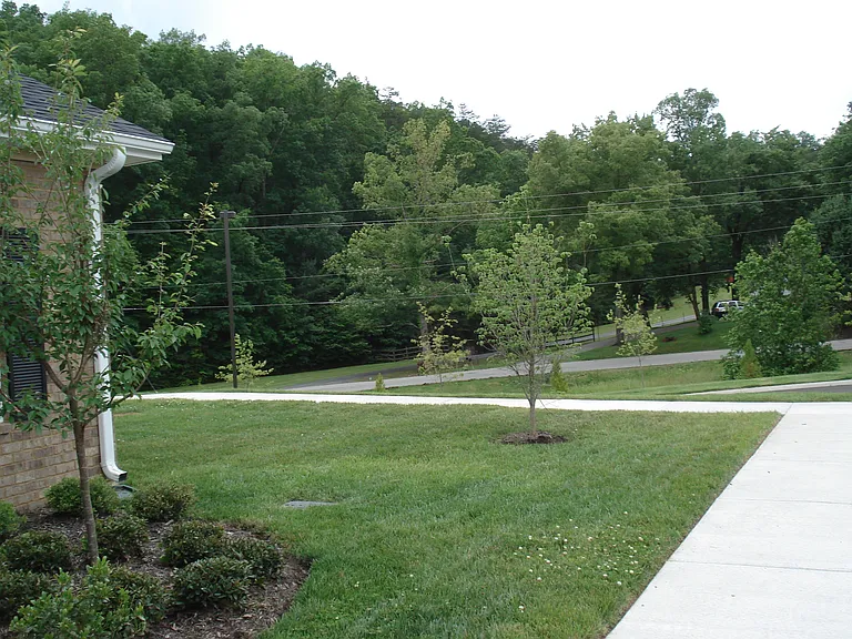 Dogwood Ridge Apartments — Photo 12