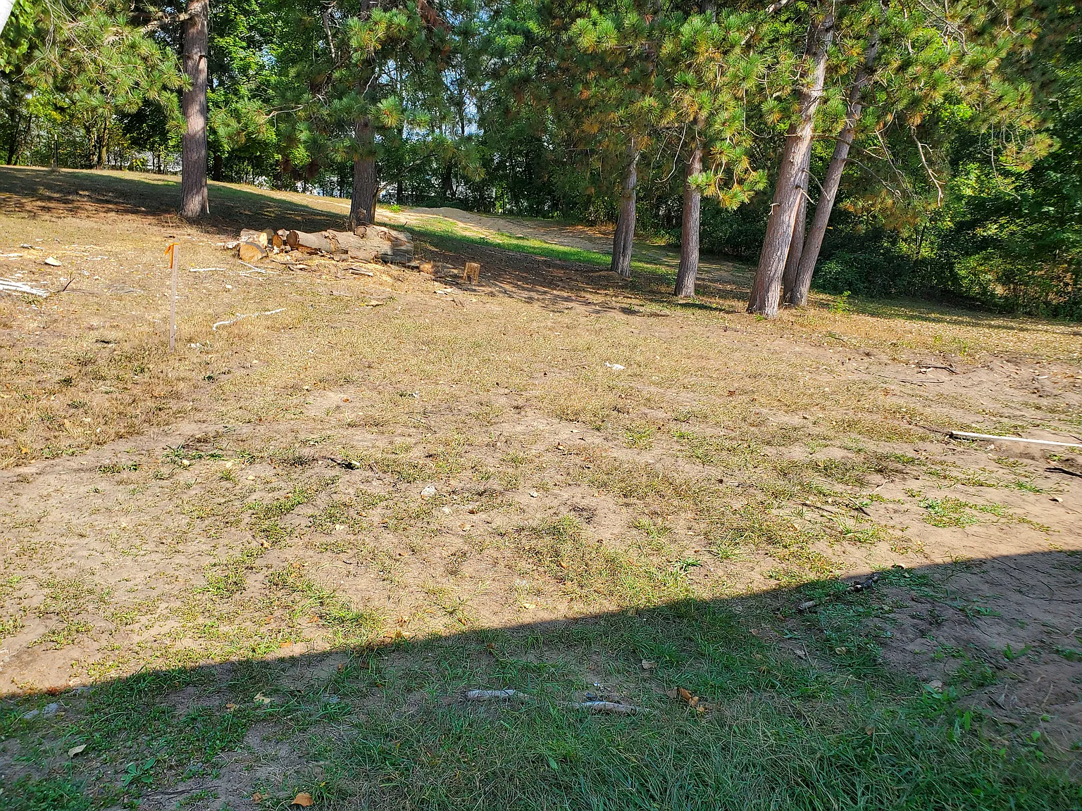 3 bed, 1505 sqft, $2,280 — Photo 3