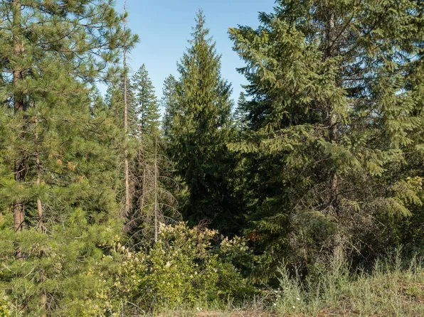 4417G Williamson Rd, Clayton, WA 99110