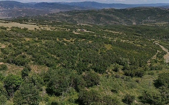 3rd image of 145K S Forest Meadow Rd