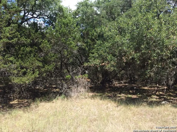 1878 Winding Creek Trl, Spring Branch, TX 78070