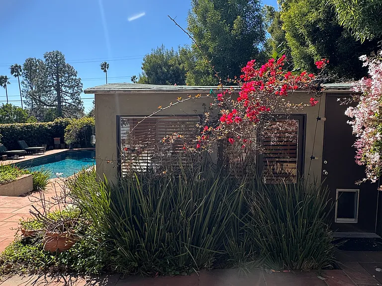 3600 Mountain View Ave #A — Photo 9