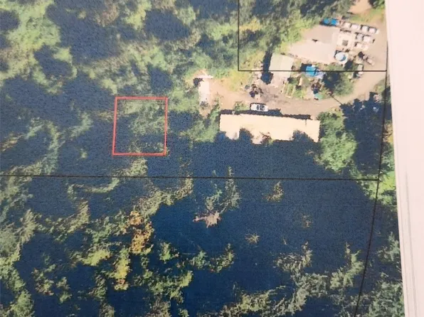 0 US HWY 101, Lilliwaup, WA 98555