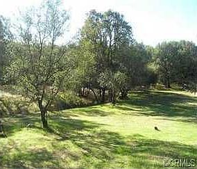 3rd image of 5688-5690 N State Highway 49