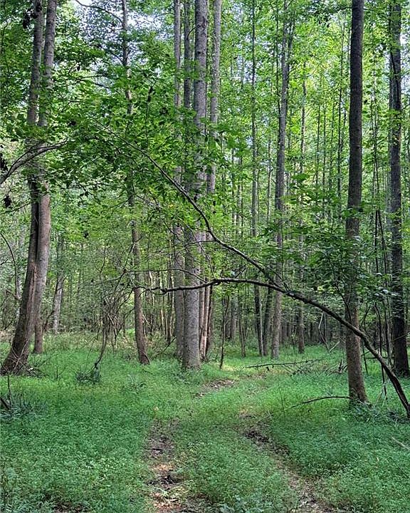 1st image of 9 Henderson Mountain Rd #9
