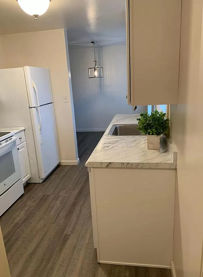 3 bed, 950 sqft, $2,500 — Photo 4