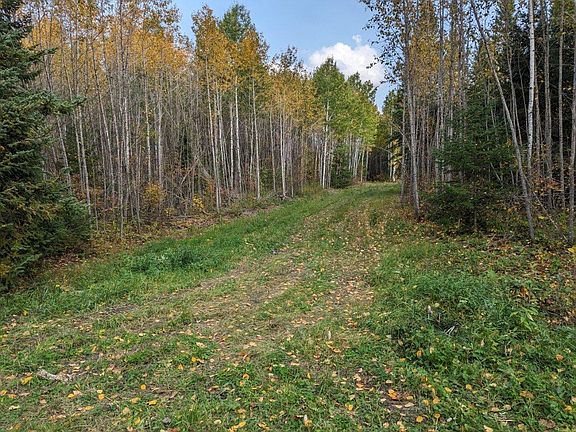 2nd image of Deer River Line