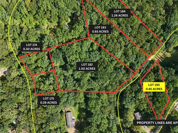 LOT 195 Fern Valley Trl, Clarkesville, GA 30523