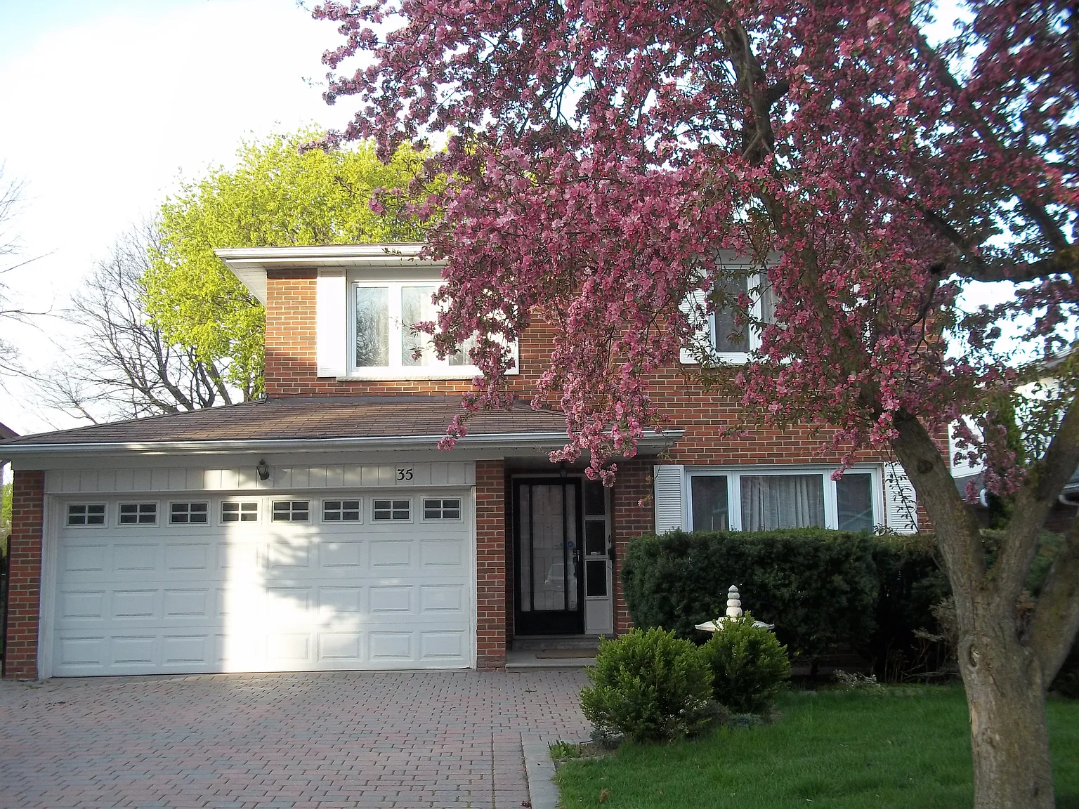 1 bed, 800 sqft, $1,700 — Photo 1