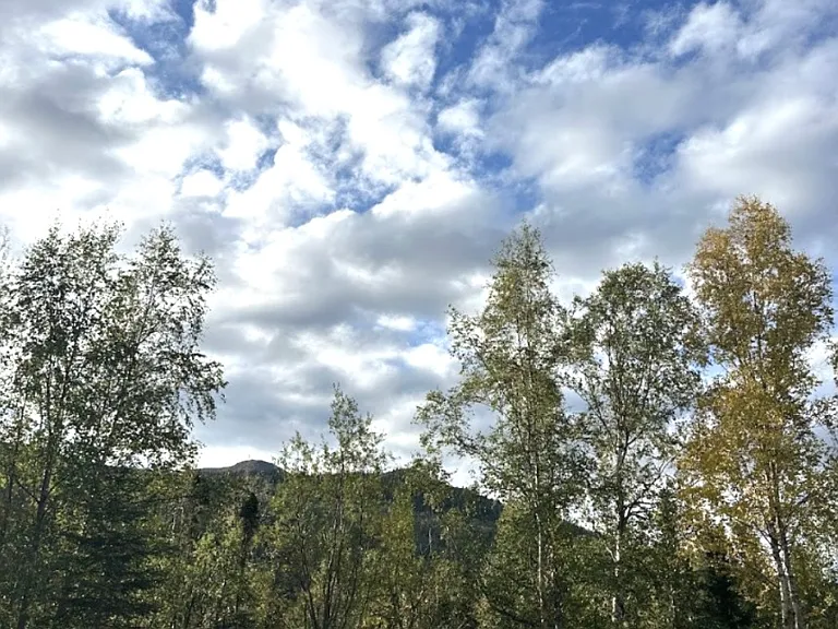 15712 Mooseberry Bnd #1 — Photo 14