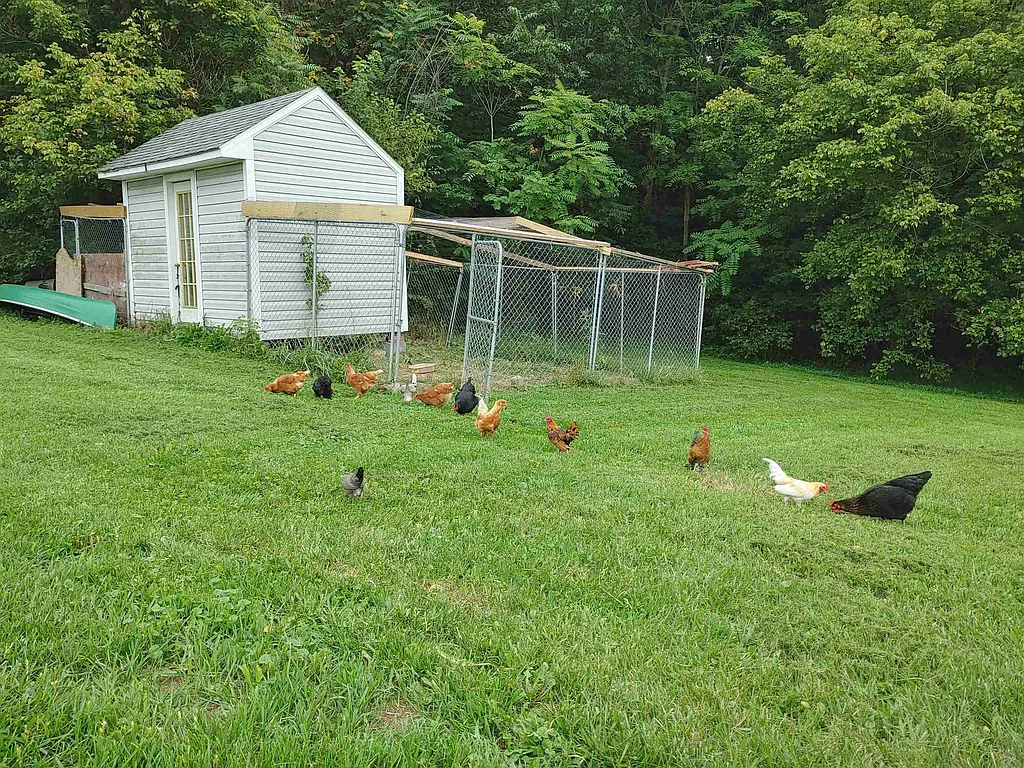 Property photo 4