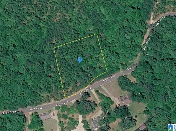 275 Big Y Cove Loop, Rockford, AL 35136