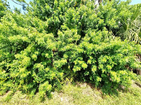 Tbd Rosarita Avenue, Fort Pierce, FL 34946