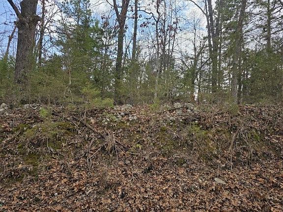 2nd image of 4880 Polite Rd #2