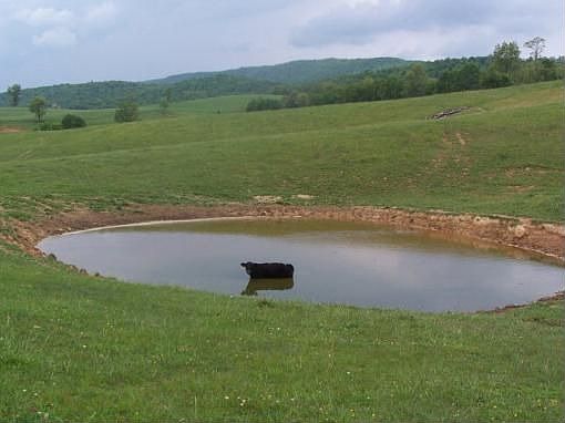 2nd image of 1579 Trails End Dr