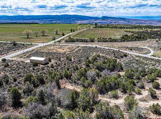 Lot 3 Rimrock Road, Hotchkiss, CO 81419