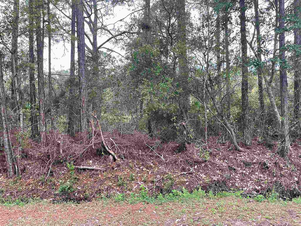 2nd image of Fuller Dr