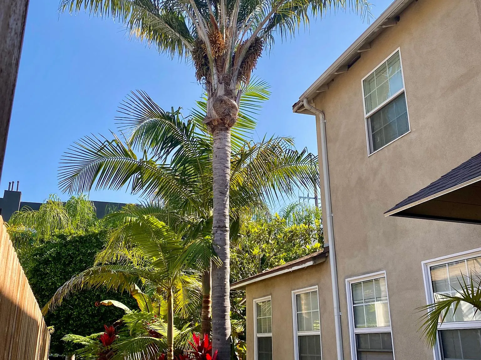 1 bed, 800 sqft, $2,400 — Photo 3