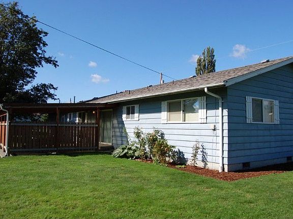 Back Yard (2)