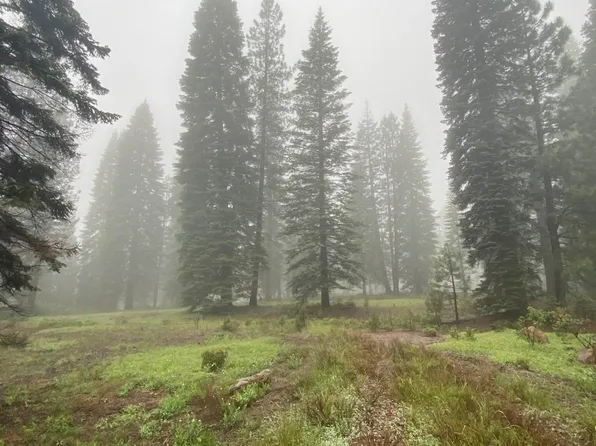 2-E-15 Snowline Cir, McCloud, CA 96057