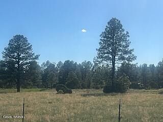 2nd image of 102C Lone Horseman Rd