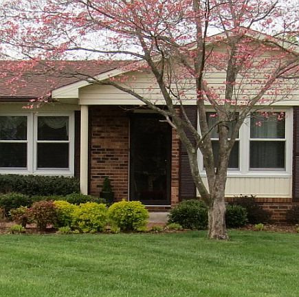 3rd image of 108 Scenic View Dr