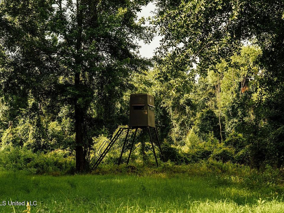 31st image of this home