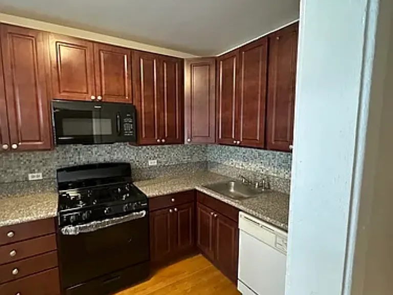 726 W Cornelia Ave #3FB — Photo 4