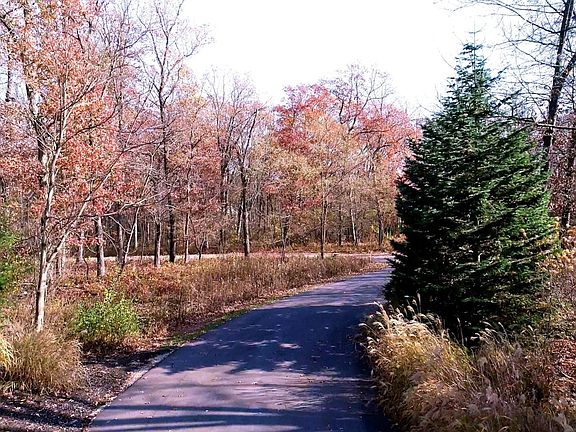 4th image of Putters Ln #15