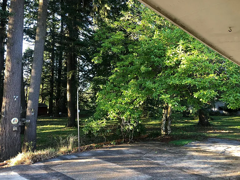 Park-like one acre lot