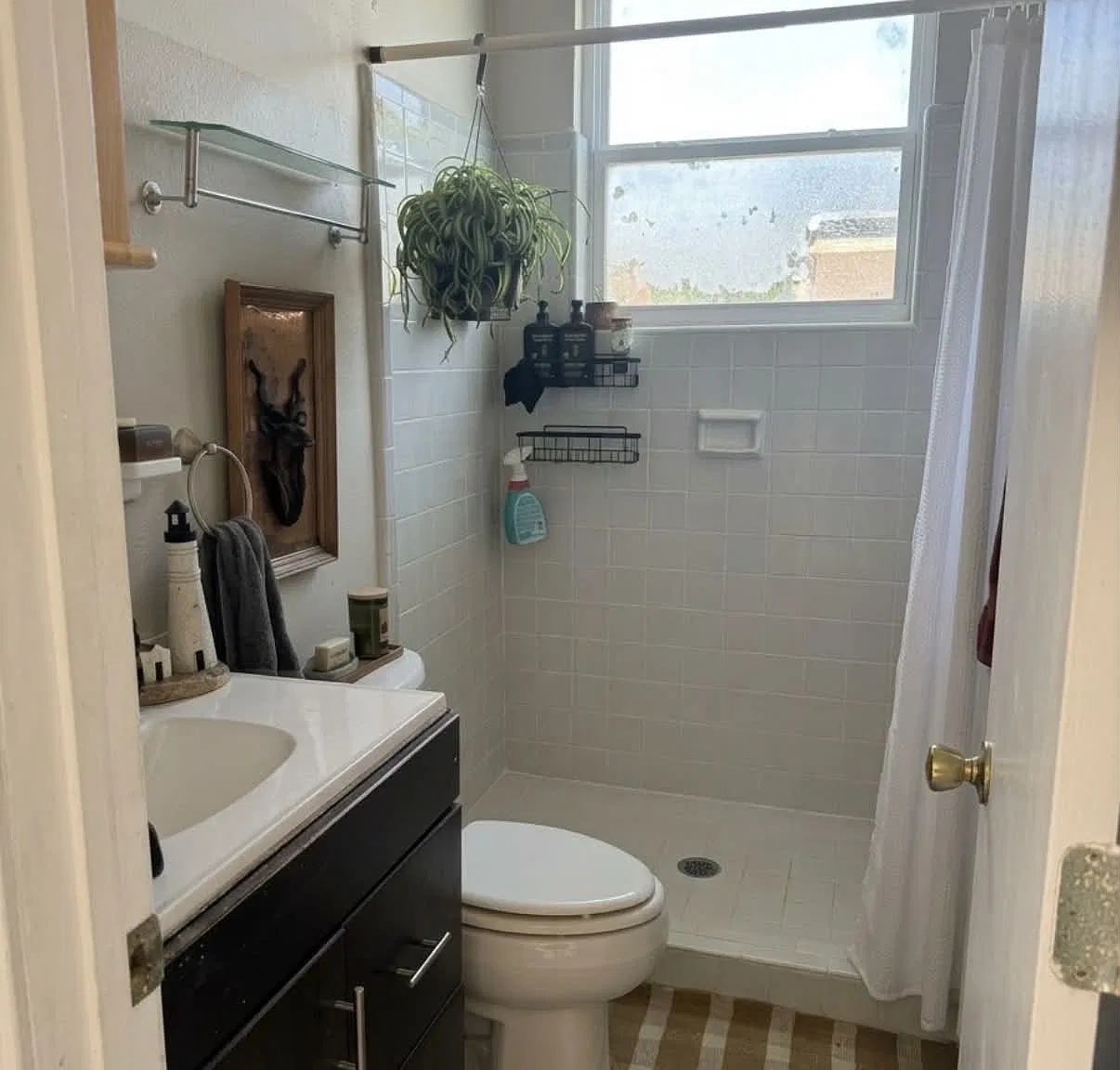 1 bed, 900 sqft, $995 — Photo 3