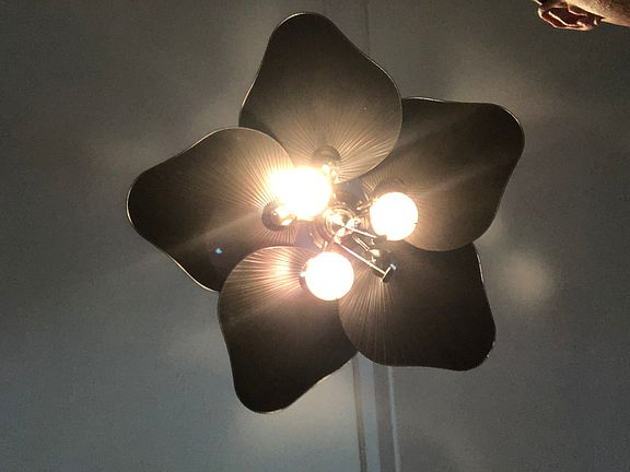 Living room ceiling fan