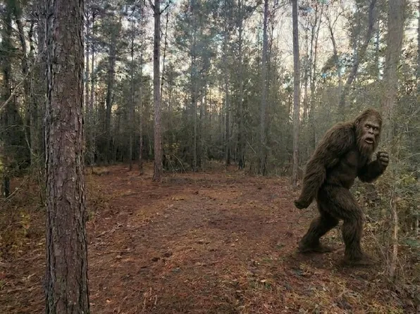 104 Coyote Run, New Waverly, TX 77358