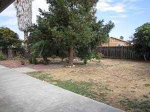 Huge Back Yard