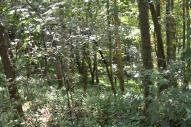 1st image of 2121 Riley Creek Rd