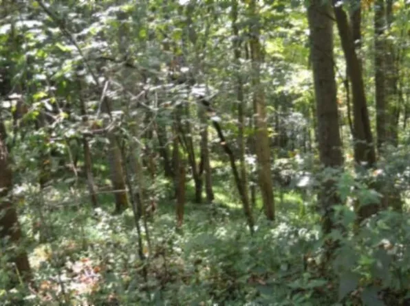 2121 Riley Creek Rd, Whitleyville, TN 38588