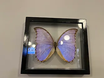 Rented by City Vista Inc