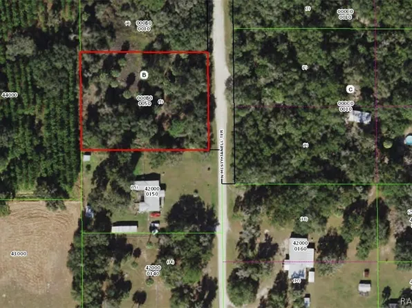 9786 N Misty Janell Ter, Crystal River, FL 34428