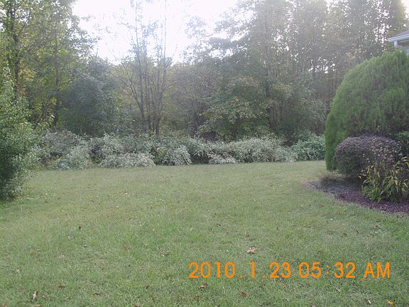 Side Yard 10/2013