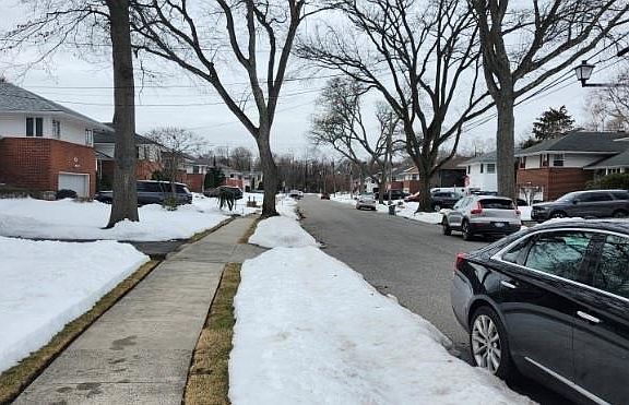 5th image of 25 Pinetree Road