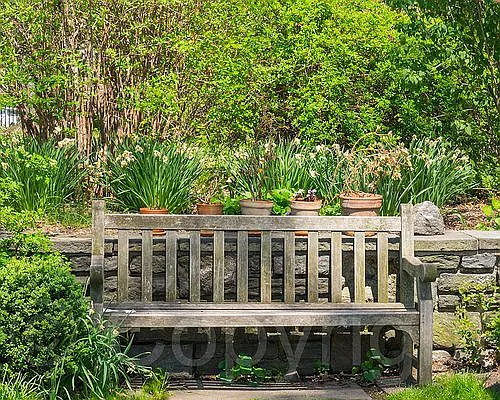 Sold by Nest Seekers International | media 7