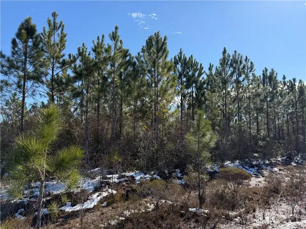 0 Elmer Thrift Rd #12, Waycross, GA 31503