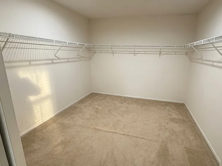 28991 Golden Dawn Dr — Photo 9