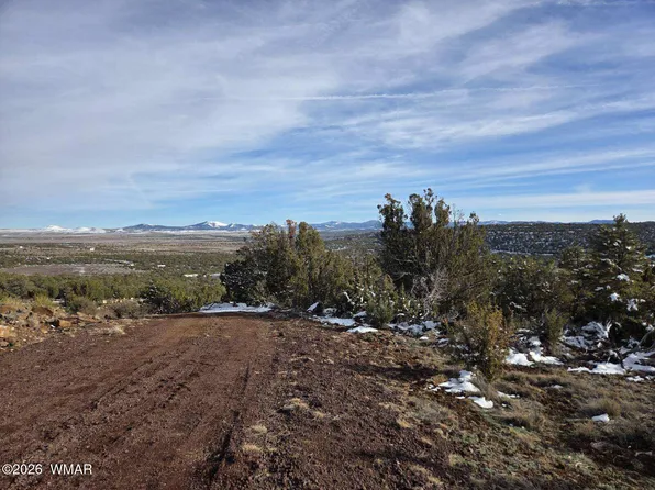 10 Co Rd, Vernon, AZ 85940