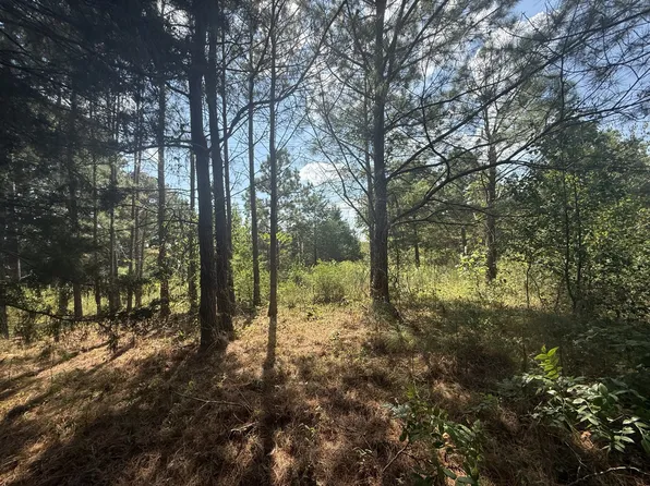 1140 Southside Rd, Southside, TN 37171