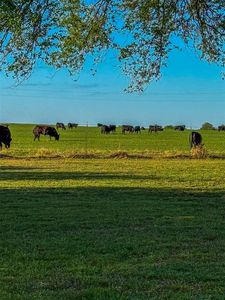16491 Rockwood Ave, Wayne, OK, 73095